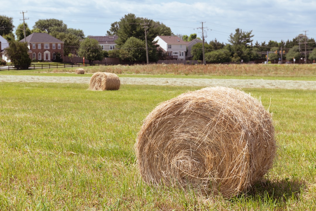 Photo farmland asset bubble