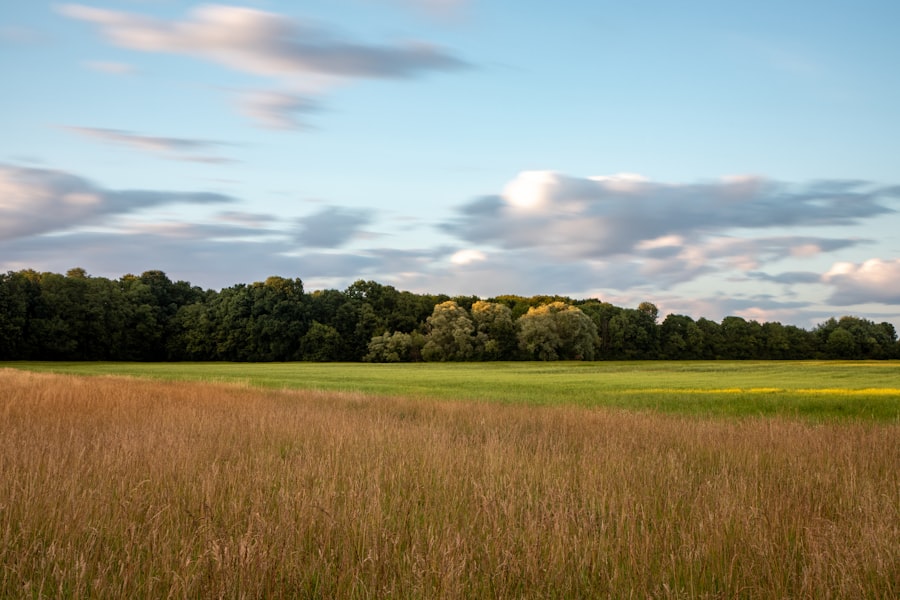 Photo farmland