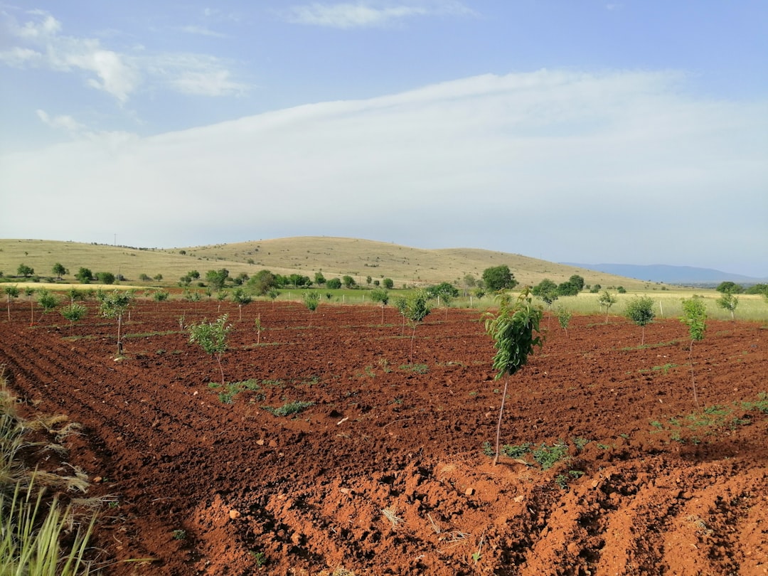 Photo agriculture land investing