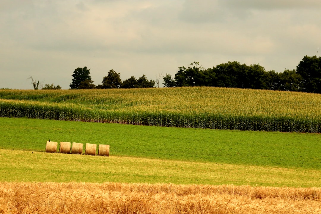 Photo hedge funds, farmland