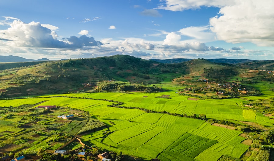 Photo institutional capital drives land prices