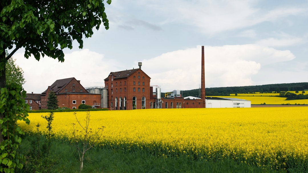 Photo industrial agriculture