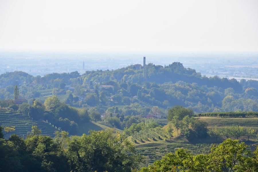 Photo conventional farming
