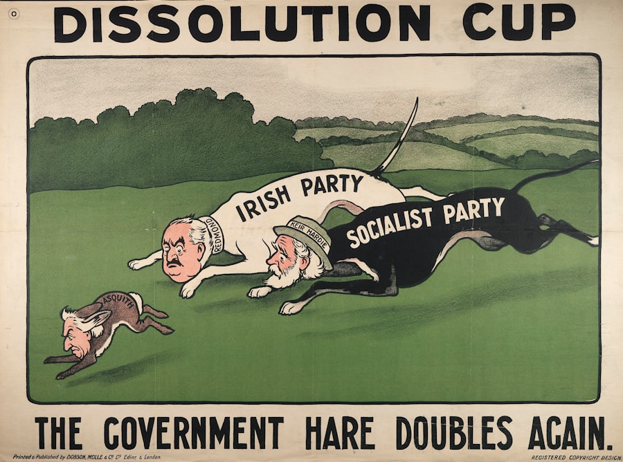 government subsidies