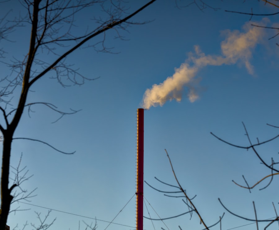 renewable natural gas