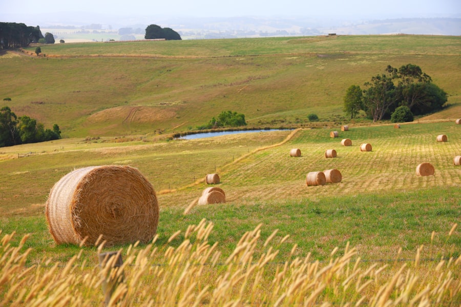farmland bubble
