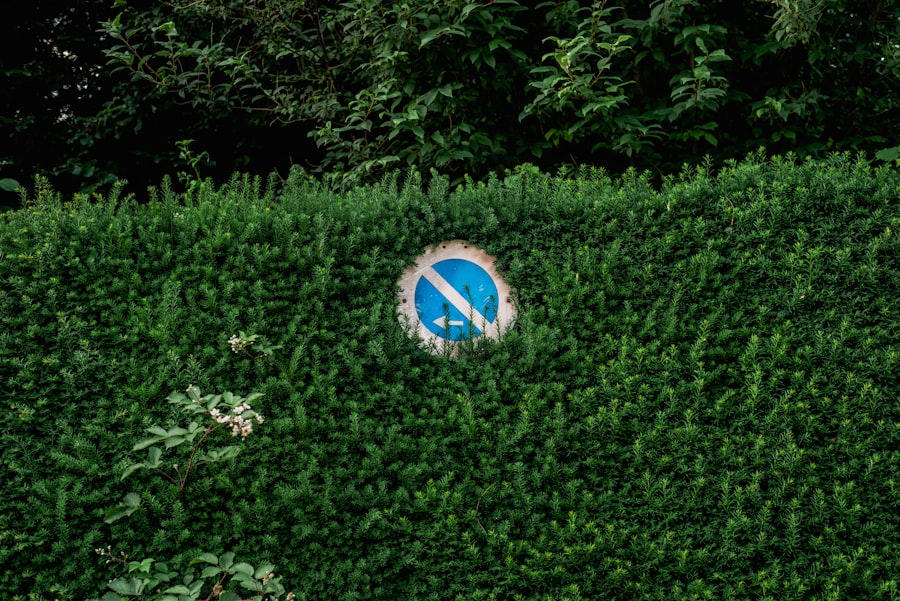 Photo hedge against app deactivation