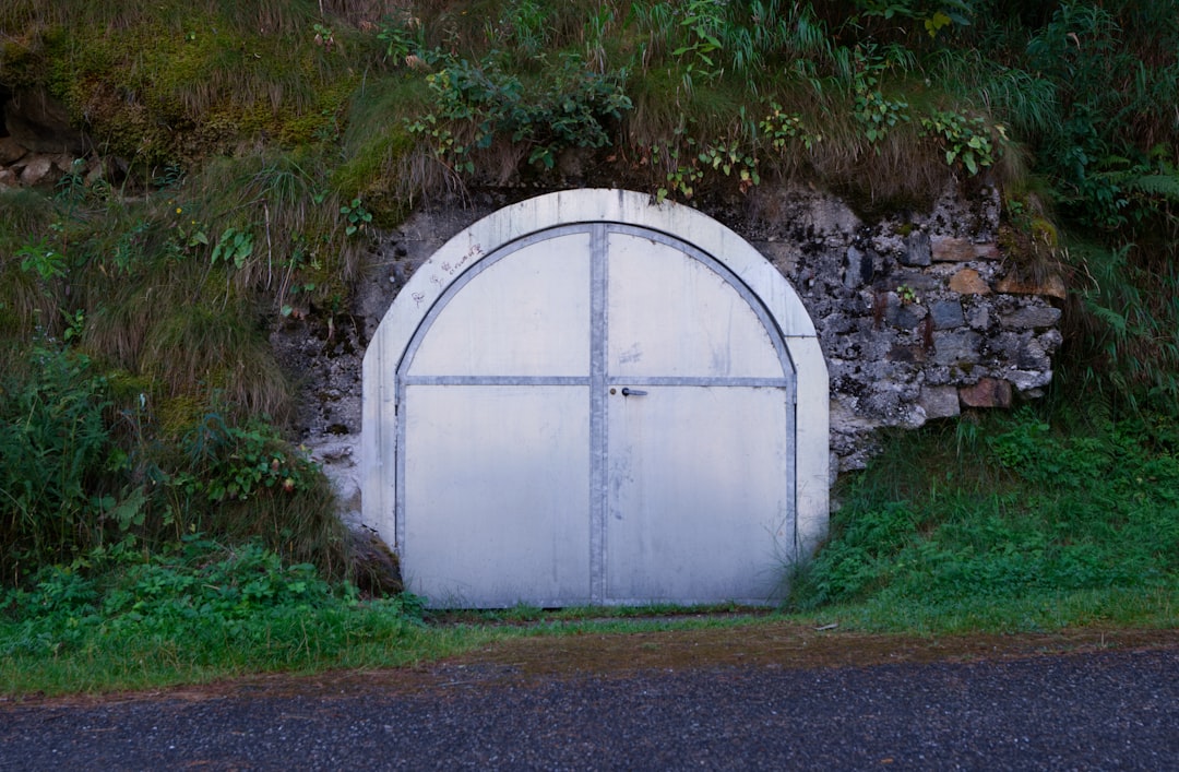 Photo grave vault