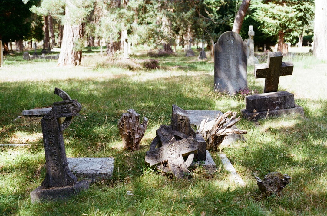 Photo burial options