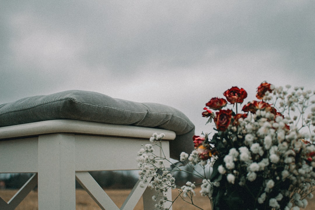 Photo funeral home lawsuits