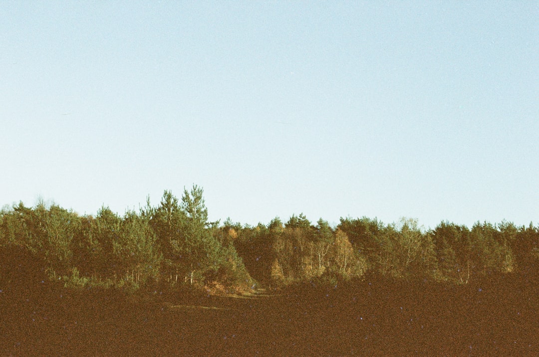 Photo financialization