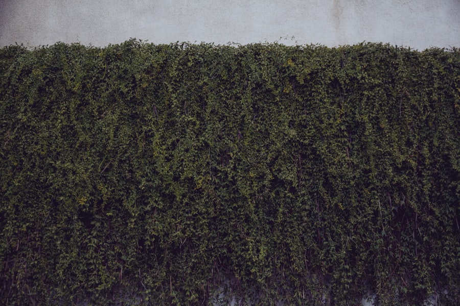 Photo inflation hedge