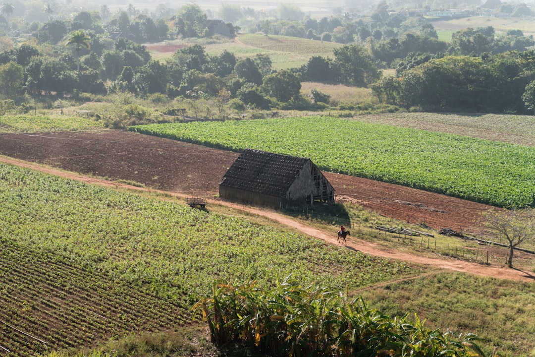 Photo institutional land ownership