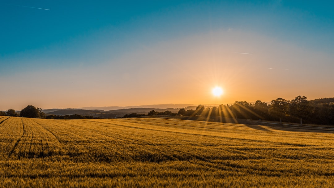 Photo Farmland