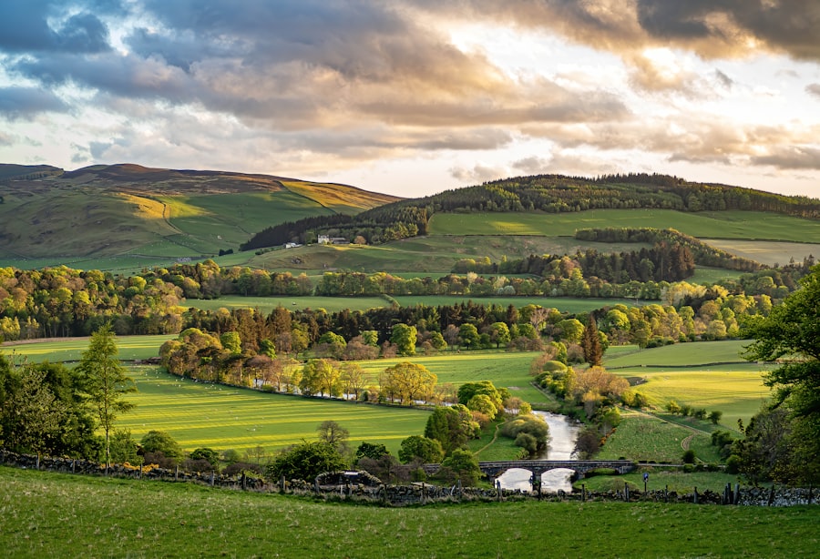Photo Farmland