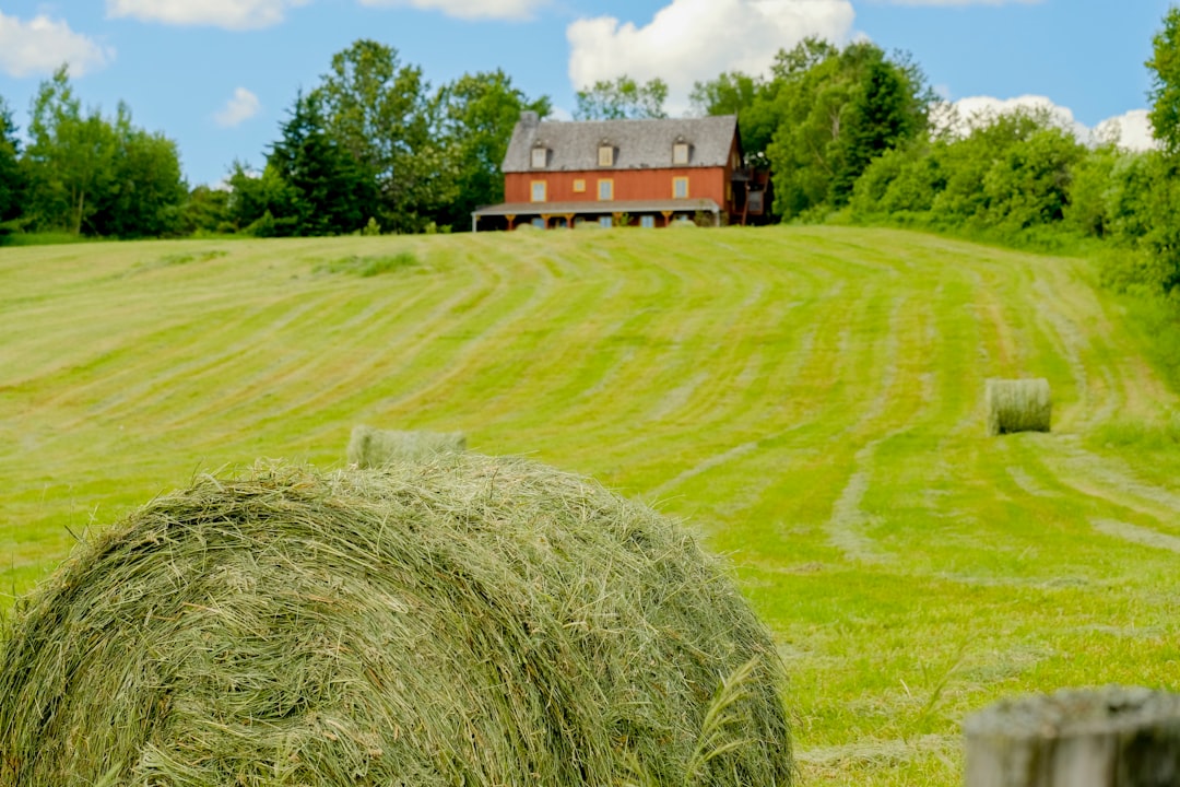 Photo farmland bubble