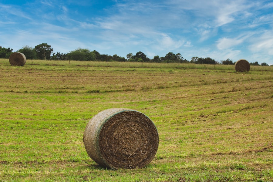 Photo farmland bubble