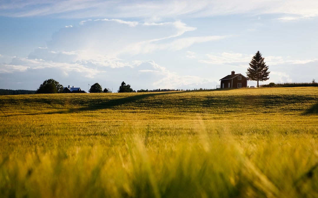 Photo farmland