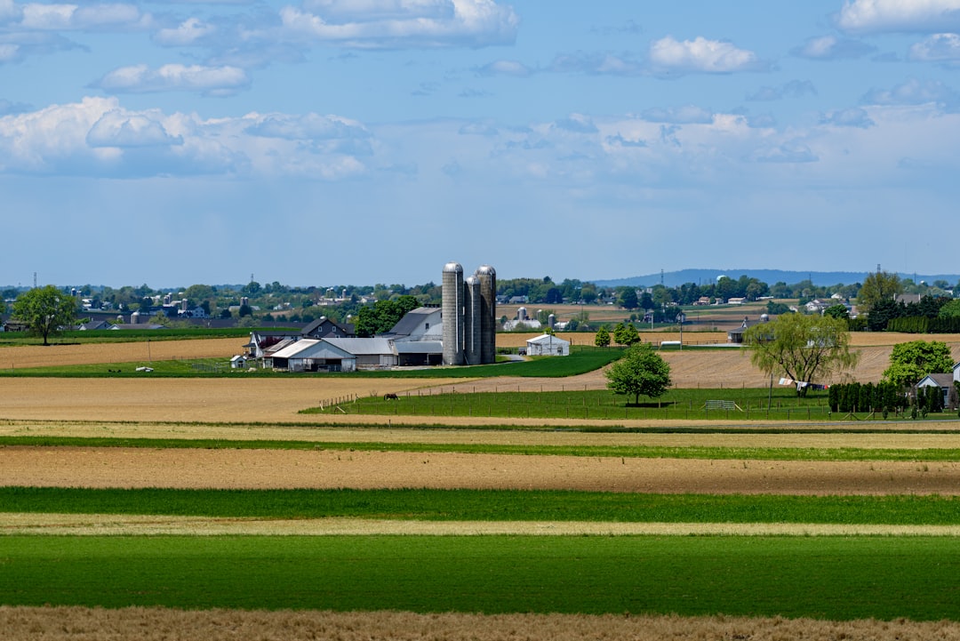 Photo farmland prices