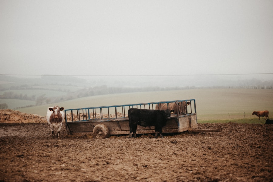 Photo farmland prices