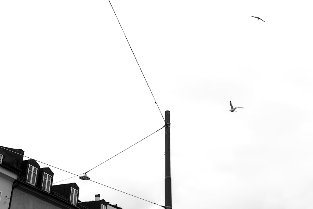 Photo city, power utility