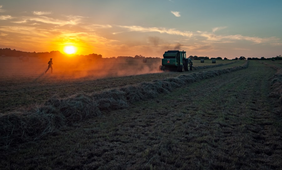 farmland