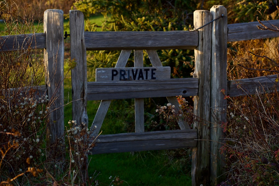 private equity roll ups