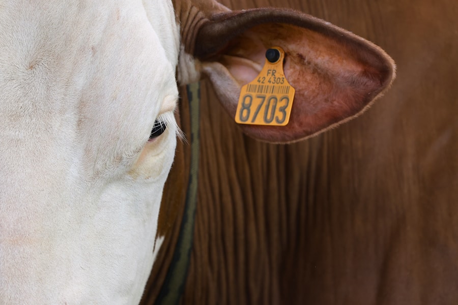 veterinary hardship codes