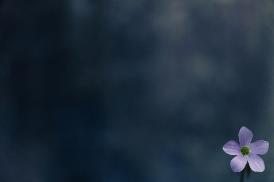 Photo IPO lockup expiration dates