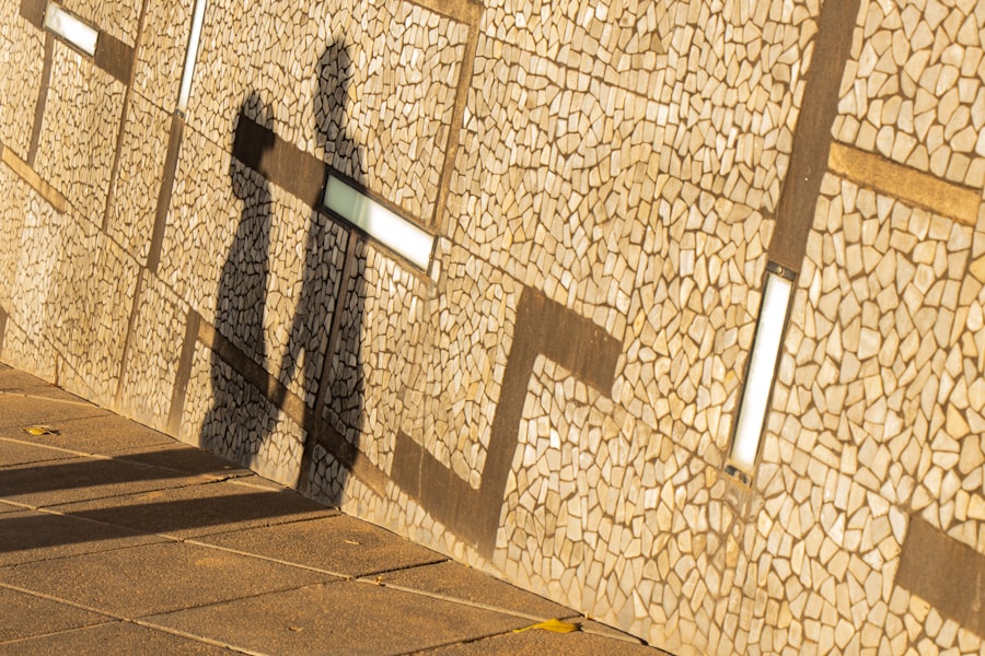 Photo Shadow Health Score