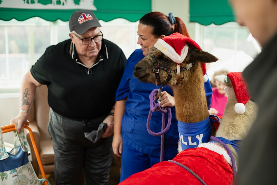 Photo veterinary associates takeover