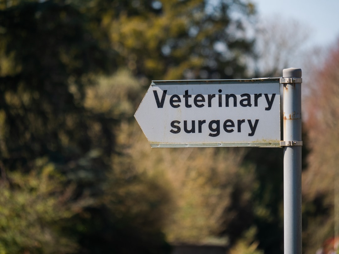 Photo veterinary non compete clauses