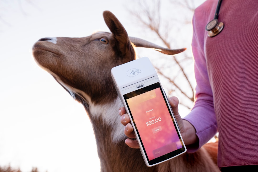 Photo veterinary record portability laws