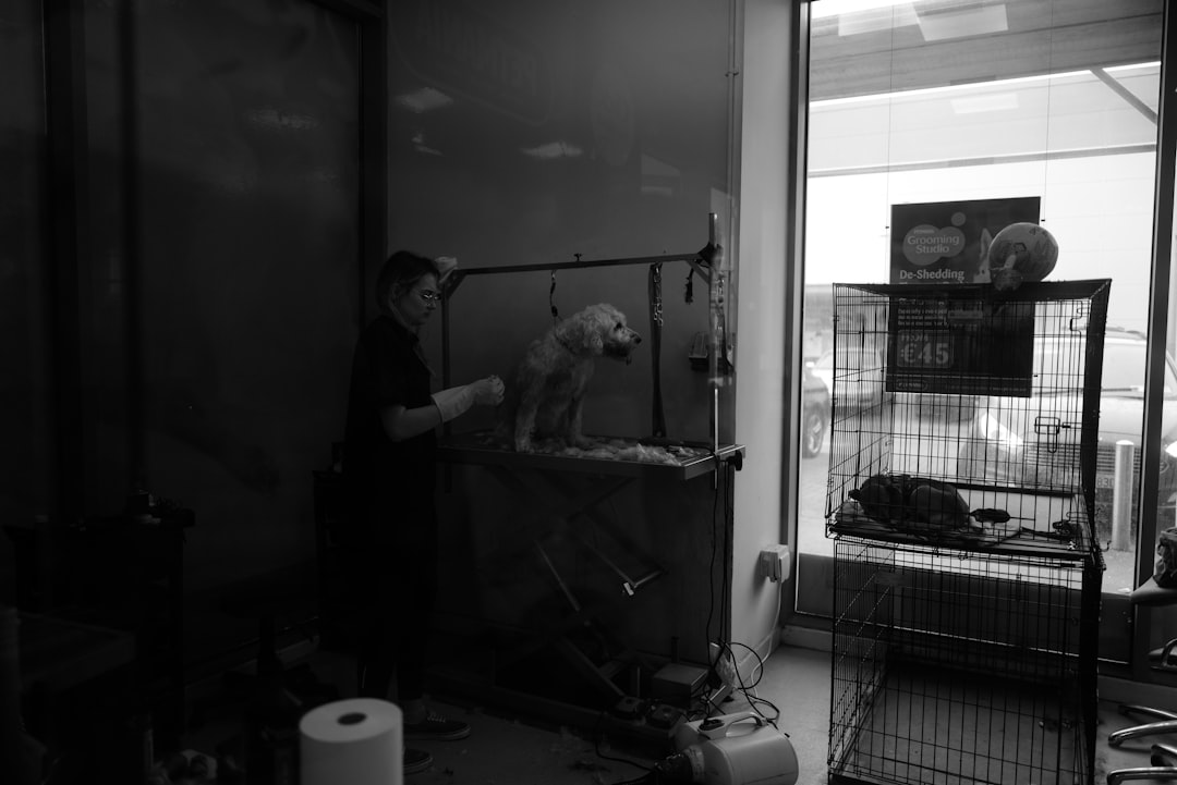 Photo independent vets closing