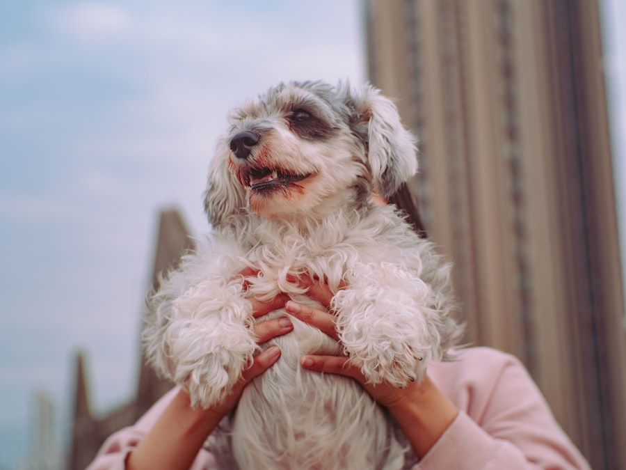 Photo corporate greed pet care