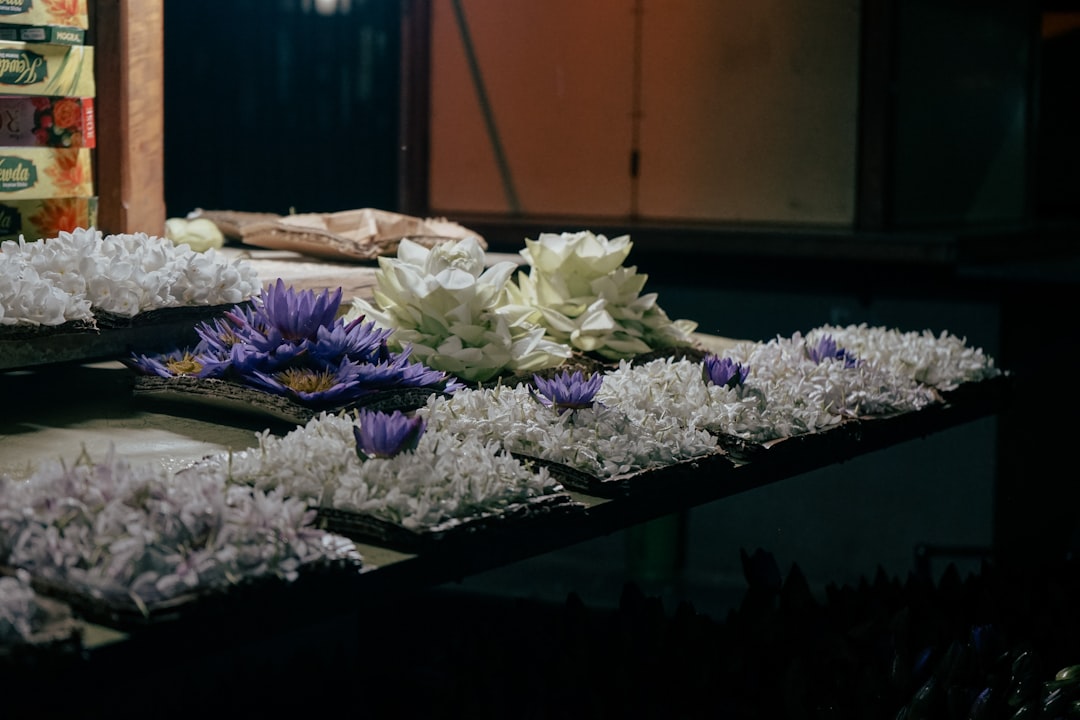Photo funeral consortia