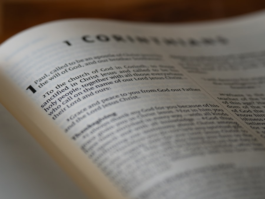 Photo leverage covenants