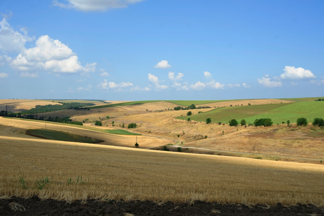Photo farmland investment