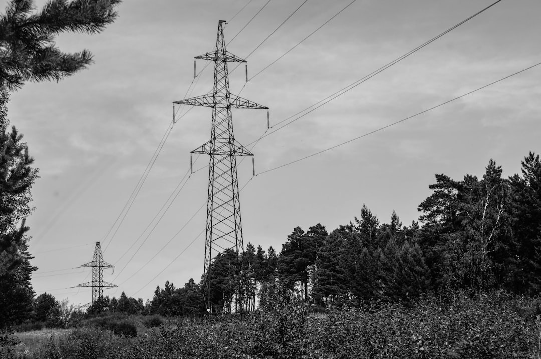 Photo utility payment history