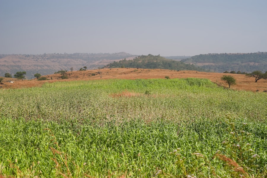 bill gates, agricultural land