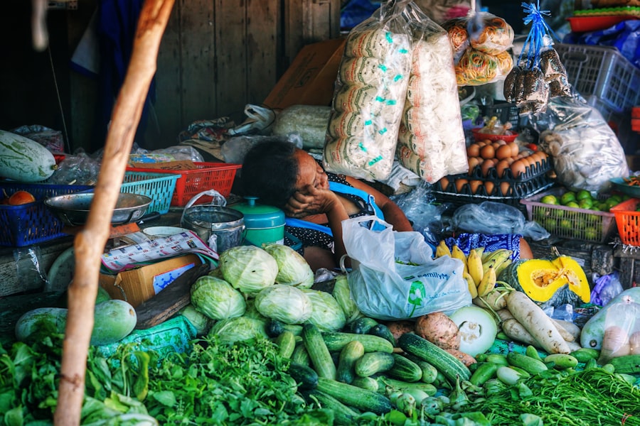 grocery monopolies, poverty