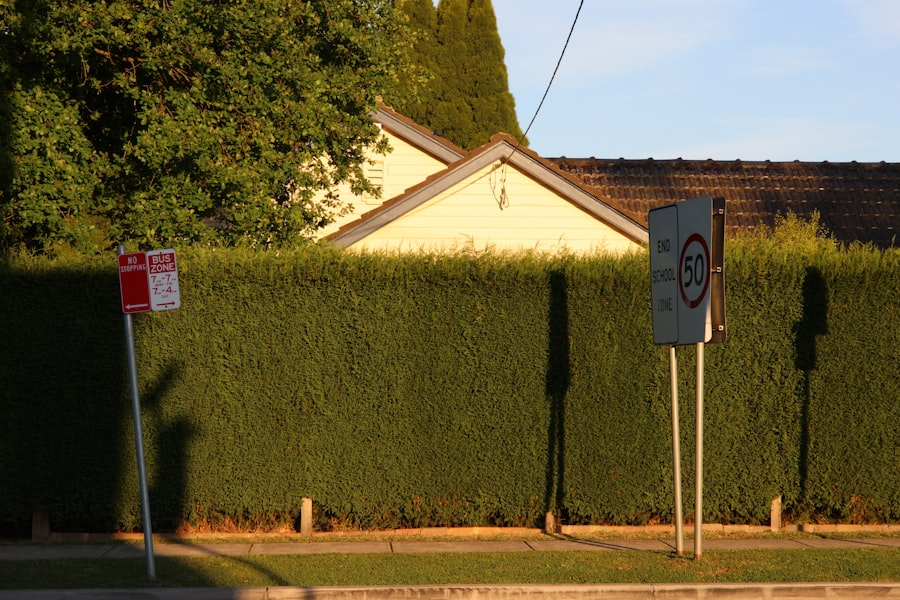 Photo hedge against institutional land grabs