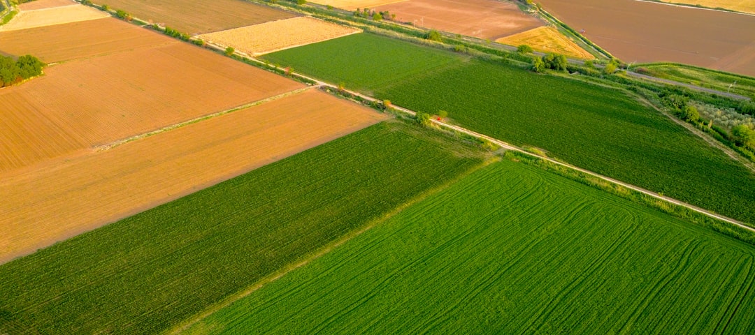 Photo farmland