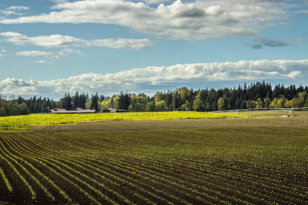 Photo farmland ownership