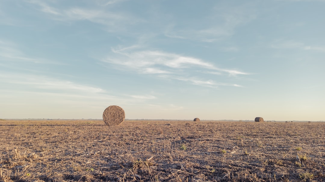 Photo farmland bubble burst
