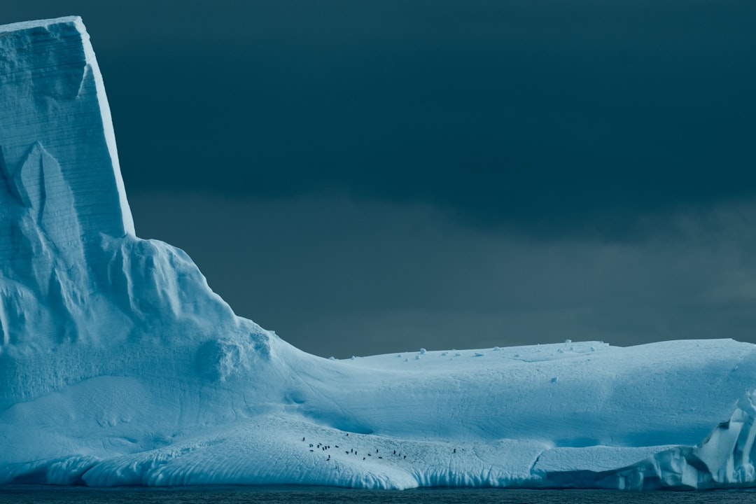 Photo MIT Iceberg Index