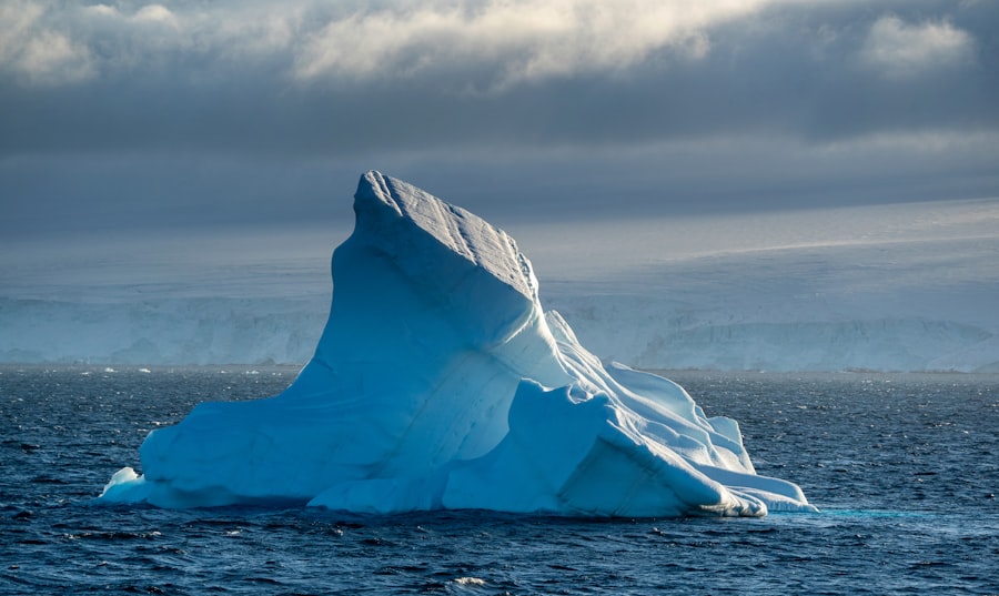 Photo MIT Iceberg Index