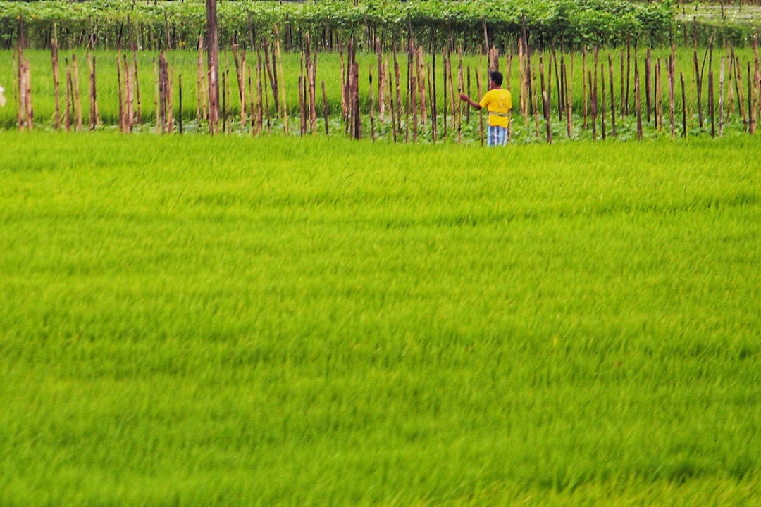 Photo bill gates, agricultural land