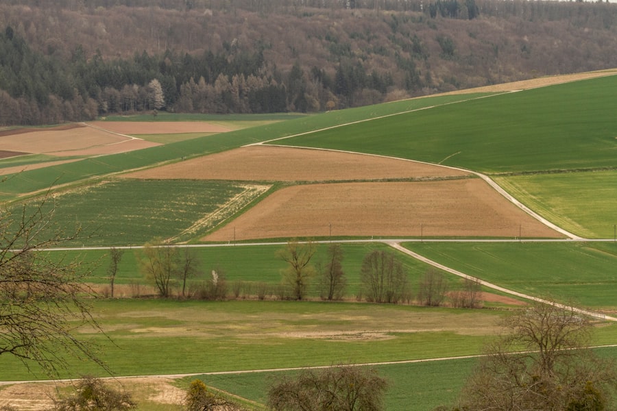 Photo bill gates, agricultural land