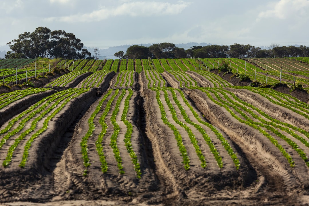 Photo farmland impact food prices